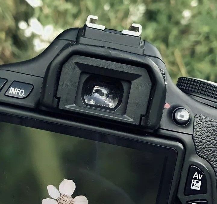 Los pequeños detalles hacen grandes fotografías