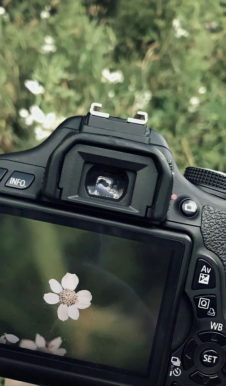 Los pequeños detalles hacen grandes fotografías